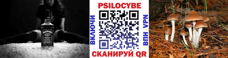 Галлюциногенные грибы MAGIC MUSHROOMS  Купить закладки  Ахтырский 