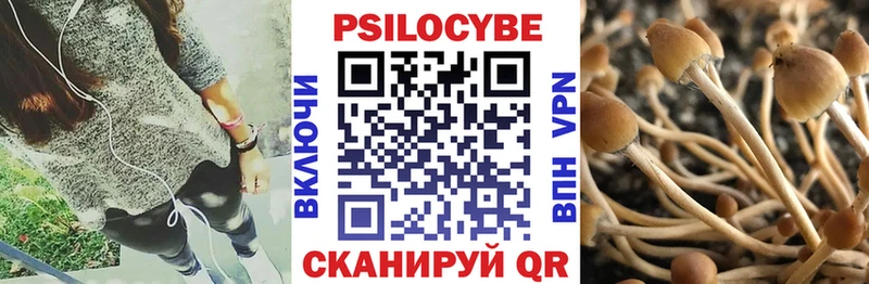 Псилоцибиновые грибы Psilocybine cubensis Ахтырский